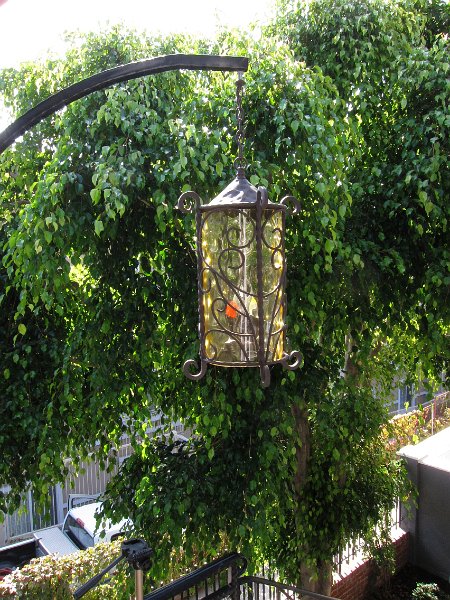 Beautiful lighting fixture